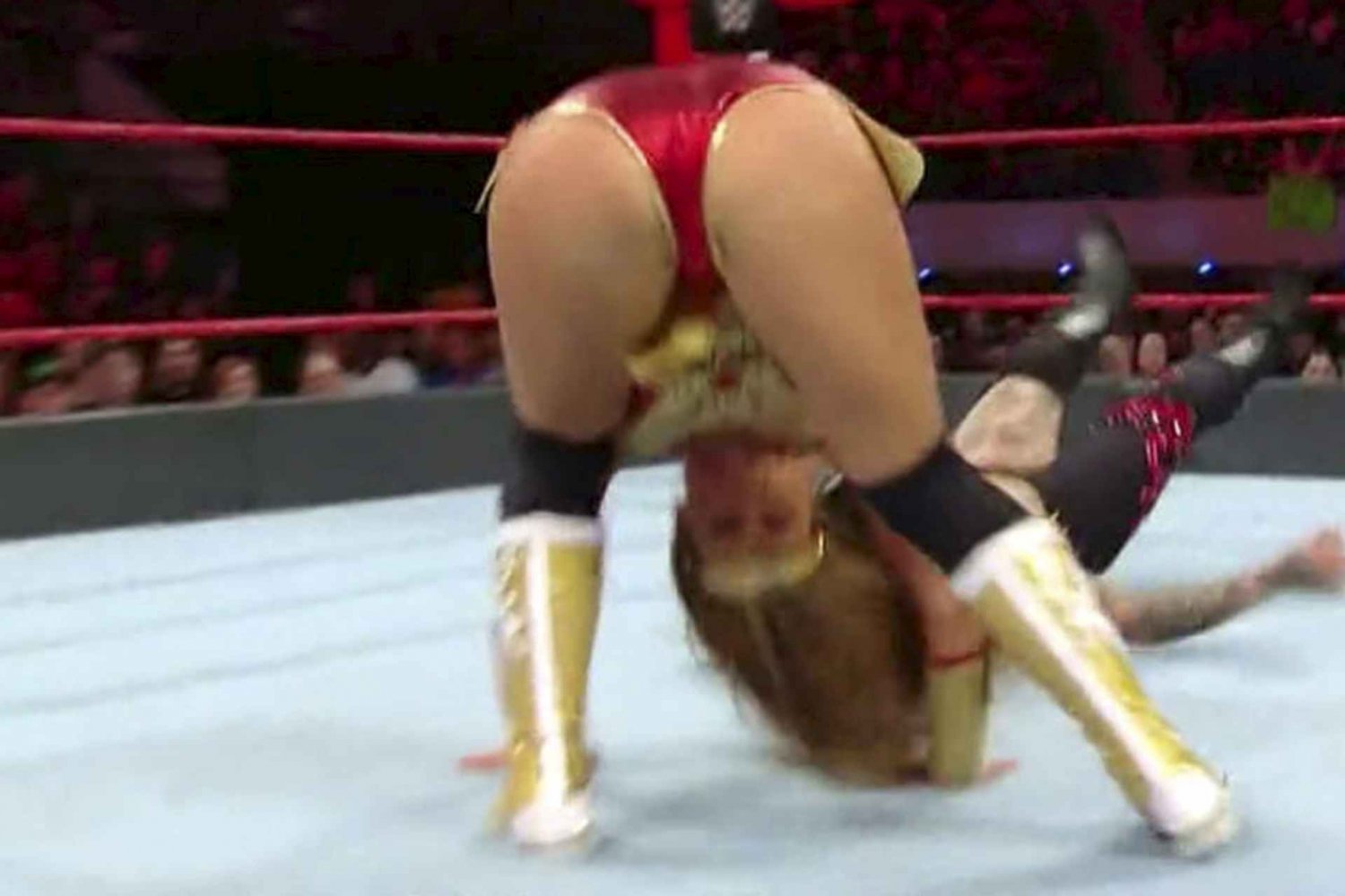 Mickie James Fake